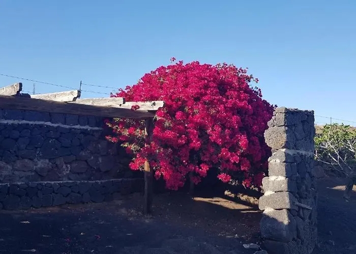 Апартаменты Sunset, Sunset View, Apto De Oasis Vasiliko, La Asomada